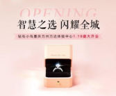 重庆钻石小鸟,璀璨珠宝，品味生活新篇章